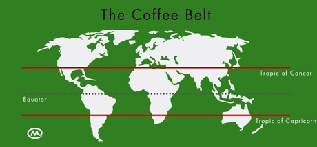 an map of the world, outlining the coffee-growing regions known as the Coffee Belt