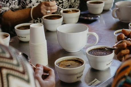 three people sitting around a coffee cupping station and holding spoons in preparation to taste each coffee flavor